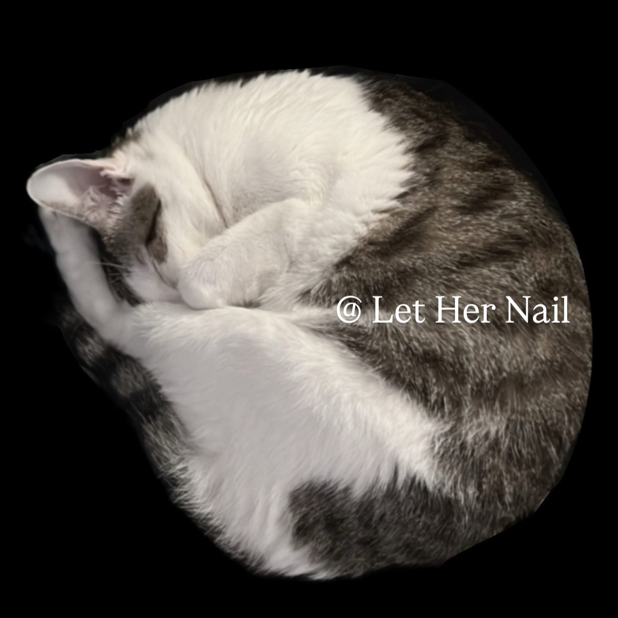哩賀美甲 Let Her Nail
